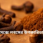 কয়েকটি ছোট গাঢ় বাদামী লবঙ্গ একটি মসৃণ পৃষ্ঠের উপর রাখা, যা মশলার তীব্র সুগন্ধ এবং সম্ভাব্য সেক্সে লবঙ্গের উপকারিতা স্বাস্থ্য উপকারিতা নির্দেশ করে।