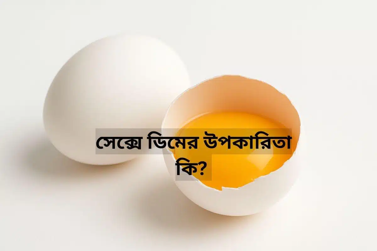 সাদা রঙের দুটি ডিম একটি হালকা ব্যাকগ্রাউন্ডের উপর রাখা আছে, যার মধ্যে একটি ডিমের হলুদ কুসুমটি দেখা যাচ্ছে। এই ছবিটি ডিমের পুষ্টিগুণ এবং সেক্সে ডিমের উপকারিতা কি সেই সম্পর্কিত ব্লগ পোস্টের জন্য একটি আকর্ষণীয় ভিজ্যুয়াল উপাদান।