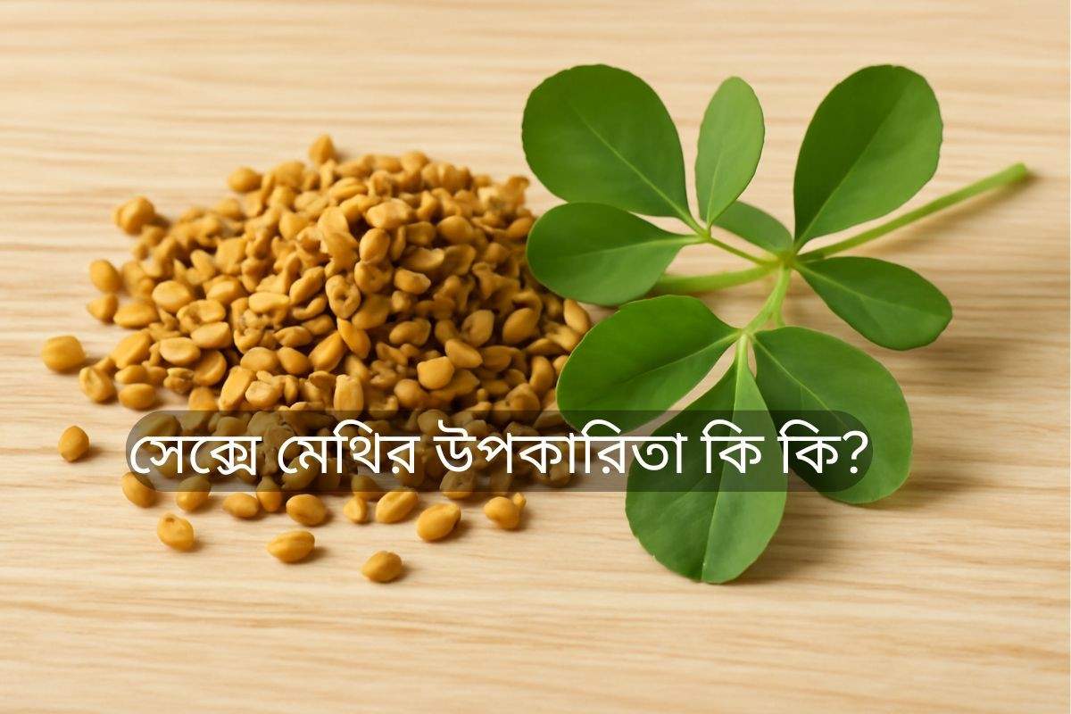 একটি হালকা কাঠের তলের উপর কিছু ছোট হলুদ-বাদামী রঙের মেথির বীজ এবং কয়েকটি সবুজ মেথি পাতা রয়েছে, যা সেক্সে মেথির উপকারিতা কি কি সেই বিষয়ে আলোচনার প্রতীক। বীজ এবং পাতাগুলি তাদের প্রাকৃতিক অবস্থায় স্পষ্টভাবে দৃশ্যমান।