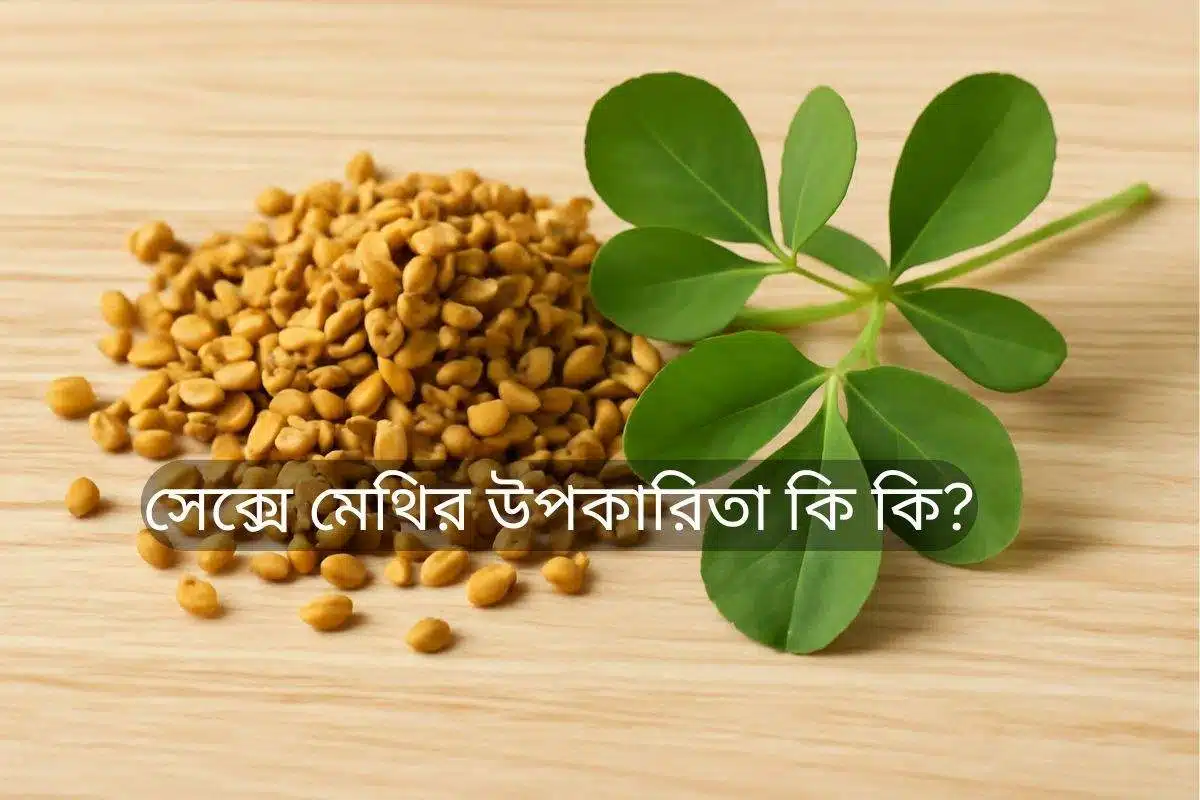 একটি হালকা কাঠের তলের উপর কিছু ছোট হলুদ-বাদামী রঙের মেথির বীজ এবং কয়েকটি সবুজ মেথি পাতা রয়েছে, যা সেক্সে মেথির উপকারিতা কি কি সেই বিষয়ে আলোচনার প্রতীক। বীজ এবং পাতাগুলি তাদের প্রাকৃতিক অবস্থায় স্পষ্টভাবে দৃশ্যমান।