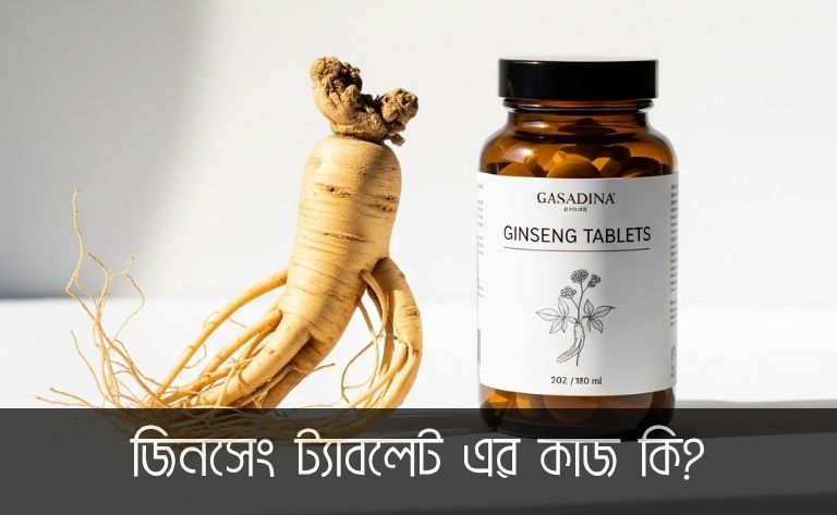 একটি সাদা পটভূমিতে জিনসেং গাছের মূল এবং একটি বোতলে থাকা জিনসেং ট্যাবলেট এর ছবি। এটি "জিনসেং ট্যাবলেট এর কাজ কি" এই বিষয়ের উপর আলোকপাত করে স্বাস্থ্য ও প্রাকৃতিক উপাদানের গুরুত্ব তুলে ধরেছে।