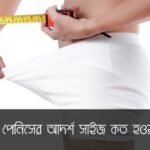 পেনিস আকারের একটি শিক্ষামূলক ইনফোগ্রাফিক, যা একটি বেল কার্ভের মাধ্যমে পেনিসের আদর্শ সাইজ কত তা দেখায়। বেল কার্ভের শীর্ষে সবচেয়ে সাধারণ পেনিসের আকার নির্দেশ করা হয়েছে, যা প্রমাণ করে যে বেশিরভাগ পুরুষের পেনিস একটি স্বাভাবিক পরিসরের মধ্যে পড়ে। ছবির পটভূমিতে একটি হৃদয় ও একটি মস্তিষ্কের প্রতীক রয়েছে, যা বোঝায় যে যৌন স্বাস্থ্য ও সন্তুষ্টির জন্য মানসিক সংযোগ এবং আত্মবিশ্বাস শারীরিক আকারের চেয়ে বেশি গুরুত্বপূর্ণ। এই ছবিটি পেনিসের আকার নিয়ে প্রচলিত ভুল ধারণা দূর করতে এবং স্বাস্থ্যকর দৃষ্টিভঙ্গি গড়ে তুলতে ডিজাইন করা হয়েছে।